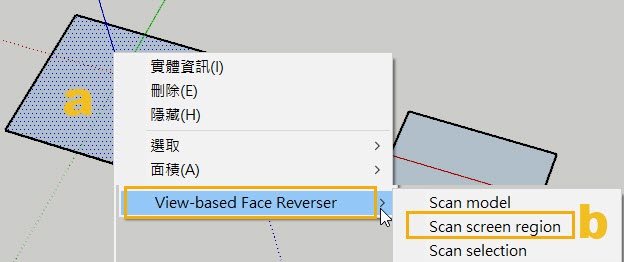 View-based Face Reverser